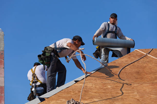Best Roof Gutter Cleaning  in Hopewell, TN