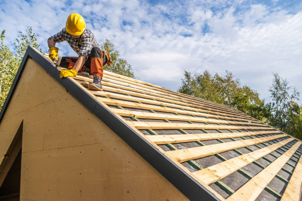 Best Roof Gutter Cleaning  in Hopewell, TN
